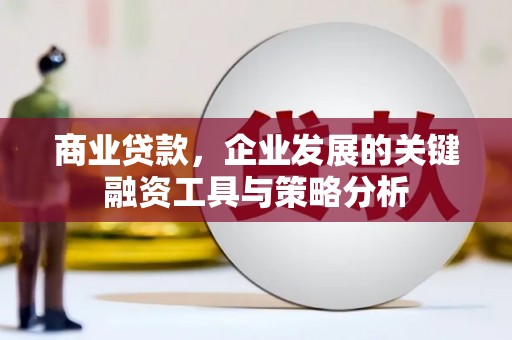 西屿商业贷款，企业发展的关键融资工具与策略分析