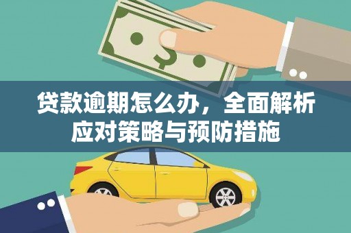 南澳贷款逾期怎么办，全面解析应对策略与预防措施
