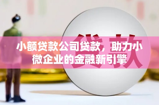 自贡小额贷款公司贷款，助力小微企业的金融新引擎