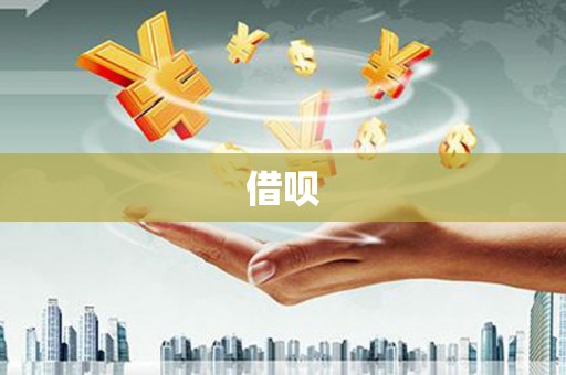 麻豆借呗