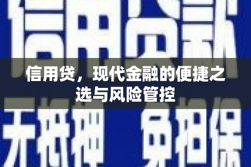 滨州信用贷，现代金融的便捷之选与风险管控