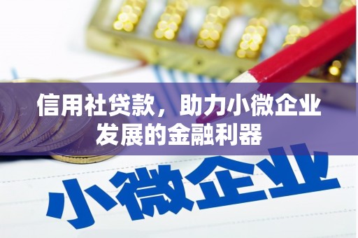 陆良信用社贷款，助力小微企业发展的金融利器