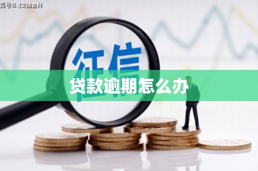 东平贷款逾期怎么办