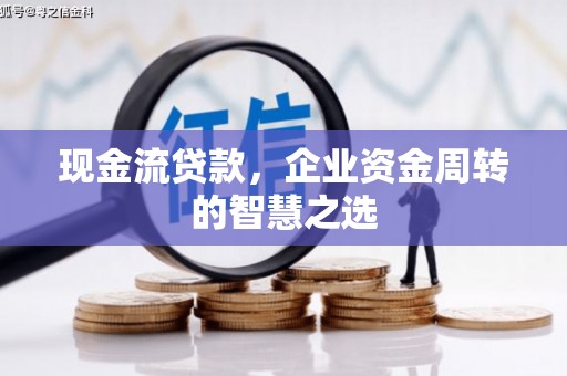 布拖现金流贷款，企业资金周转的智慧之选