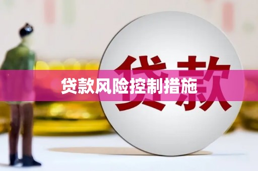 保德贷款风险控制措施