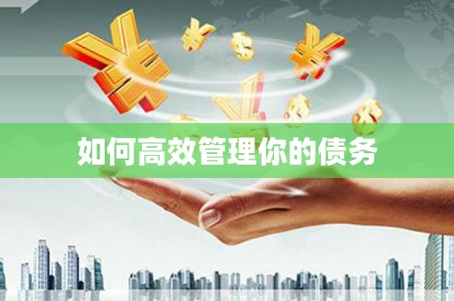 隆子如何高效管理你的债务