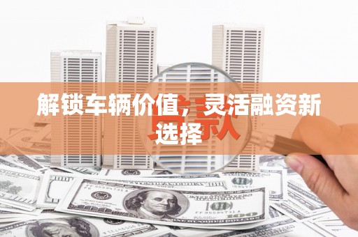 石龙解锁车辆价值，灵活融资新选择