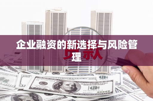 金寨企业融资的新选择与风险管理