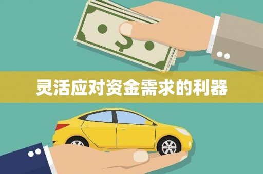 任县灵活应对资金需求的利器