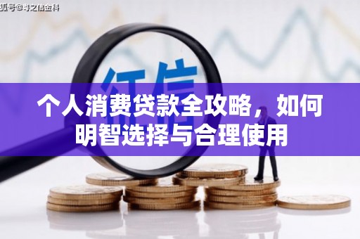 巩留个人消费贷款全攻略，如何明智选择与合理使用