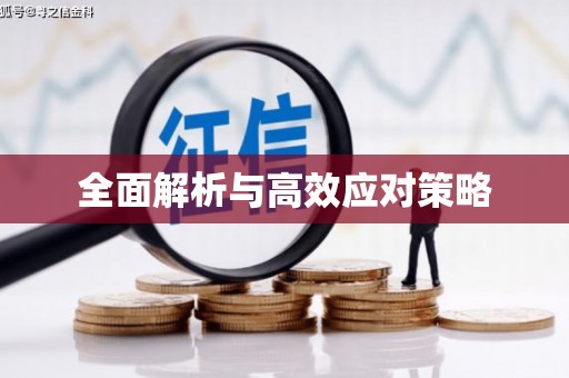 贵南全面解析与高效应对策略