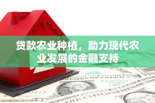鸡东贷款农业种植，助力现代农业发展的金融支持