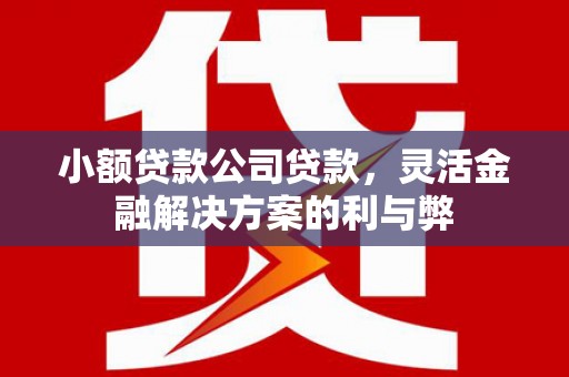 龙崎小额贷款公司贷款，灵活金融解决方案的利与弊