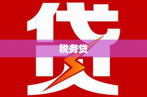 天津税务贷